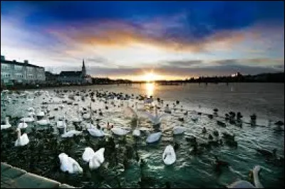 Choisissez l'écriture correcte :