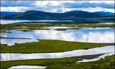 Choisissez l'écriture correcte :