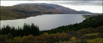 Choisissez l'écriture correcte :