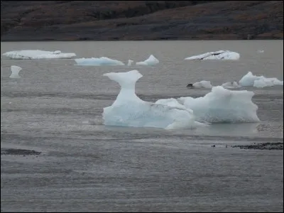 Choisissez l'écriture correcte :