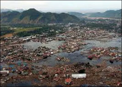 Séisme, suivi d'un tsunami meurtrier qui frappe les côtes de l'océan Indien :