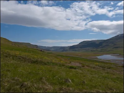 Choisissez l'écriture correcte :
