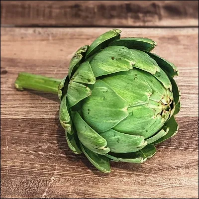 &Agrave; quel type de plantes de la famille des compos&eacute;es appartient l�artichaut ?