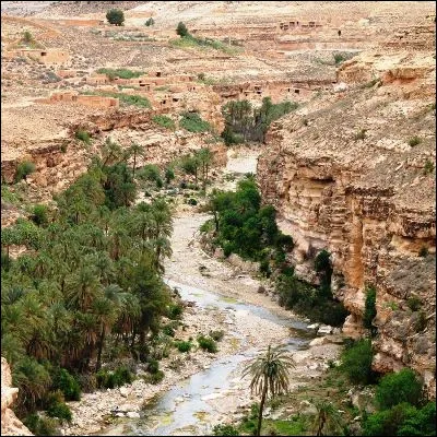 Quel terme d&eacute;signe un cours d�eau irr&eacute;gulier des r&eacute;gions semi-d&eacute;sertiques d�Afrique du Nord ?
