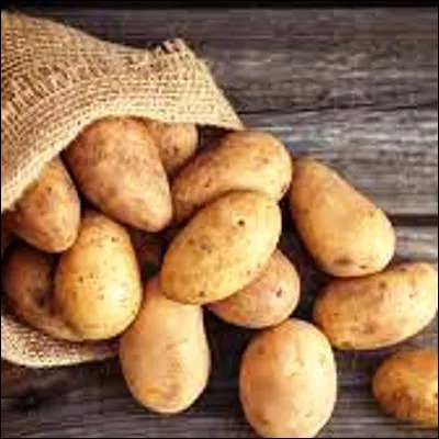 Quel insecte col&eacute;opt&egrave;re est un redoutable ravageur de la pomme de terre ?