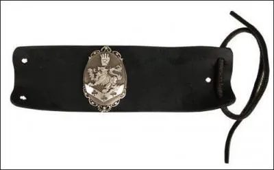 A qui appartient ce bracelet ?