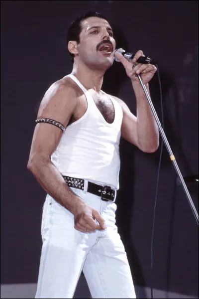 Freddy Mercury est décédé le 24 novembre...