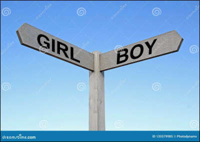 Pour commencer, es-tu une fille ou un garçon ?