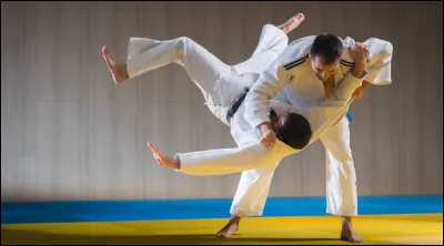 Au judo, quel est le grade le plus élevé parmi les ceintures suivantes ?