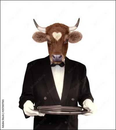 Alors là, il ne faut pas prendre le taureau par les [...].