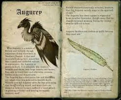 De quelle couleur est-il ?