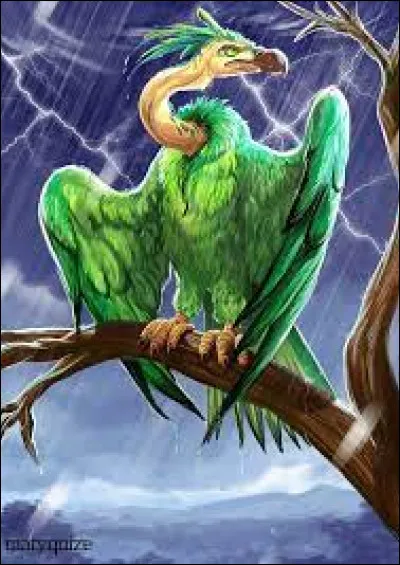 Quel est son caractère ?