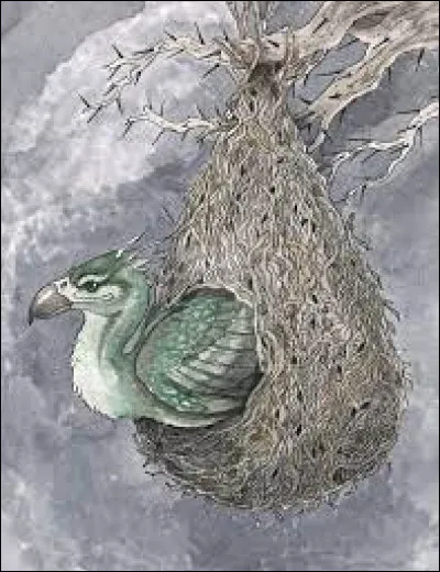 De quoi se nourrit-il ?