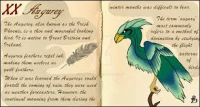 Les plumes de l'Augurey sont parmi les plus utilisées pour l'écriture car elles possèdent presque toutes les caractéristiques nécessaires à l'écriture.