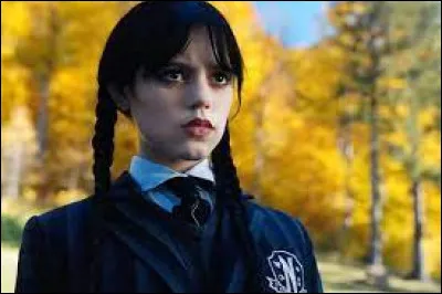 Quelle est la couleur préférée de l'héroïne ?