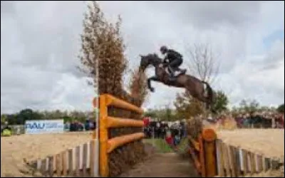 Quel objet est interdit sur un cross ?