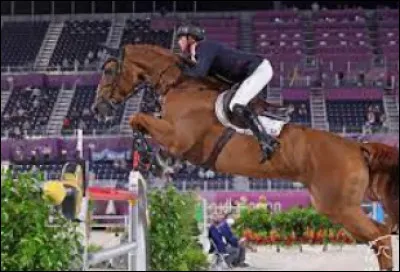 Quelles sont les phases du saut ?