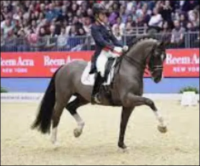 Cochez les équipements interdits en dressage.