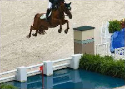 Nommez cet obstacle.