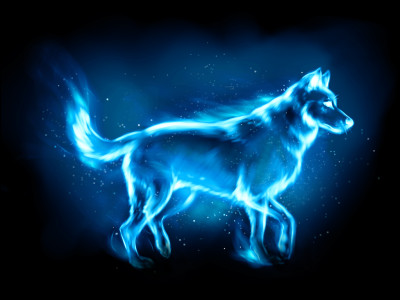 Dernière question : quel est le patronus de Remus Lupin ?