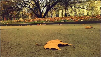 Pourrais-tu supporter de dormir par terre ?