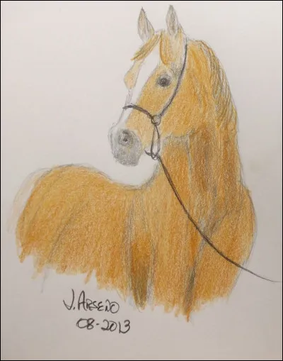 Clique sur l'image d un shire.