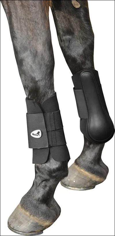 Ceci nest pas une protection dantérieurs ni de postérieurs. Quest-ce que cest ?