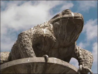 Dans cet univers, il est possible dinvoquer des crapauds :