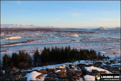 Bien que rares, les forêts existent en Islande. Saurez-vous me donner le nom de celles-ci, qui se sont développées sur des déserts de lave ?