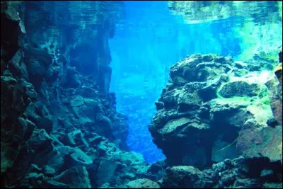 Continuons notre épopée avec une autre faille, qui compose une infime partie de la dorsale médio-atlantique. Elle est appelée...