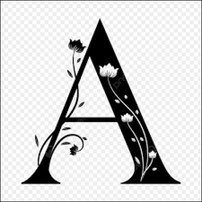 Dans quel pays se trouve la ville d'Agadir ?