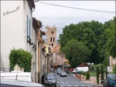 Ville occitane, incluse dans l'aire d'attraction Perpignanaise, Millas se situe dans le département ...