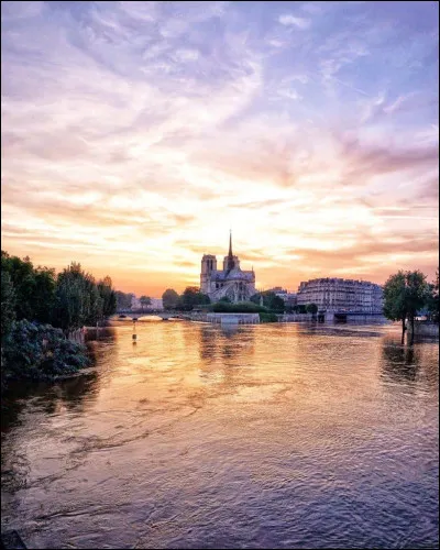 Quelle était ta meilleure année scolaire ?