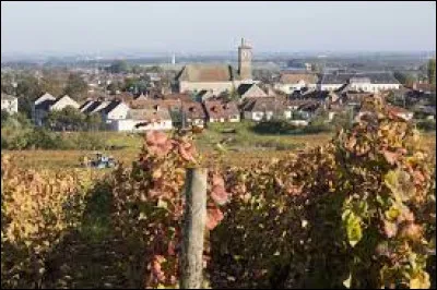 Cette petite ville de 5300 habitants de la Côte-d'Or, située dans le sud de l'agglomération de Dijon, c'est Marsannay la ...