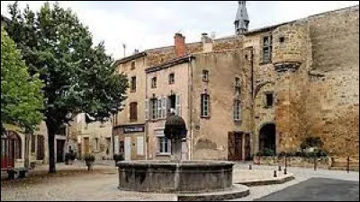 Cette ville de 5000 habitants du département du Puy-de-Dôme, c'est Vic le ...