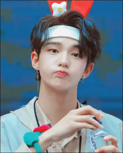 S'il n'était pas dans Stray kKids, quel serait son travail ?