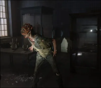 Quelle est cette série ?