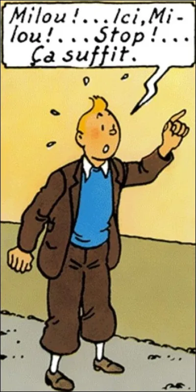 De quel album provient cette vignette ?