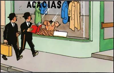 De quel album provient cette vignette ?