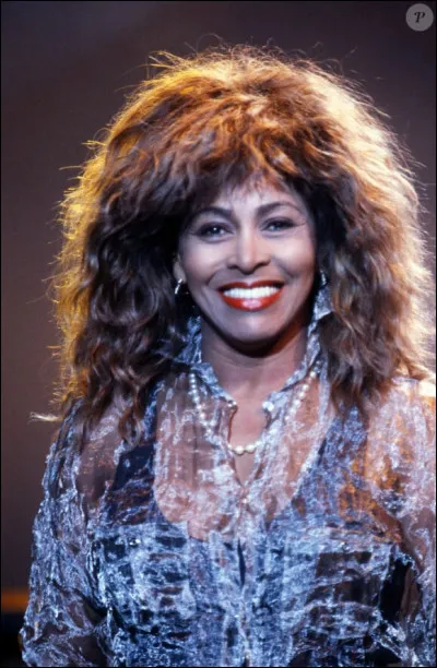 Combien d'enfants Tina Turner a-t-elle eus au cours de sa vie ?