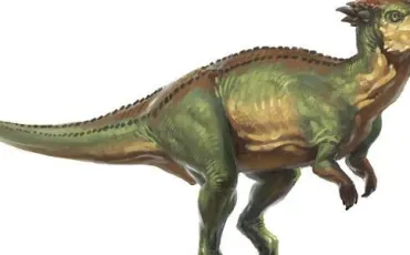 Quiz Dinosaures