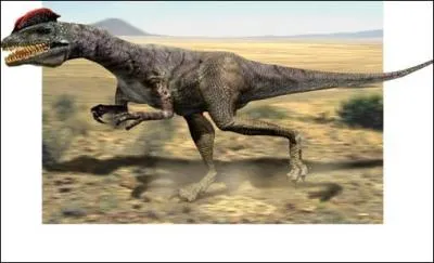 Comment s'appelle ce dinosaure ?