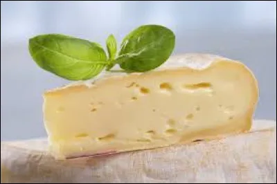 Quel fromage est originaire de la Savoie ?