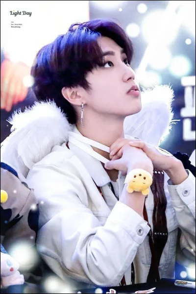 Quelle est sa couleur préférée ?