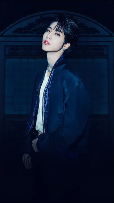 Qui est ton membre préféré ? (Question très très importante.)