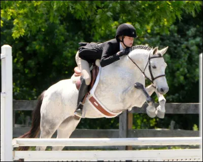 Quelles robes préfères-tu ?