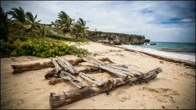Qui a écrit ''Vendredi ou la Vie sauvage'' ?