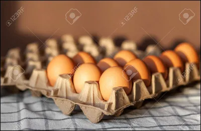 Quelle poule produit cette couleur d'&oelig;ufs ?