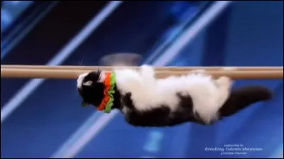 Comment te connait-on ?