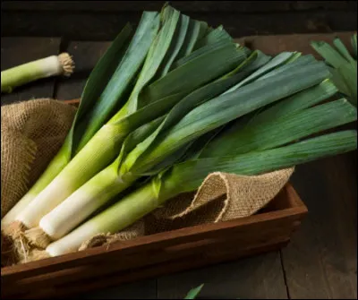 Le poireau est...